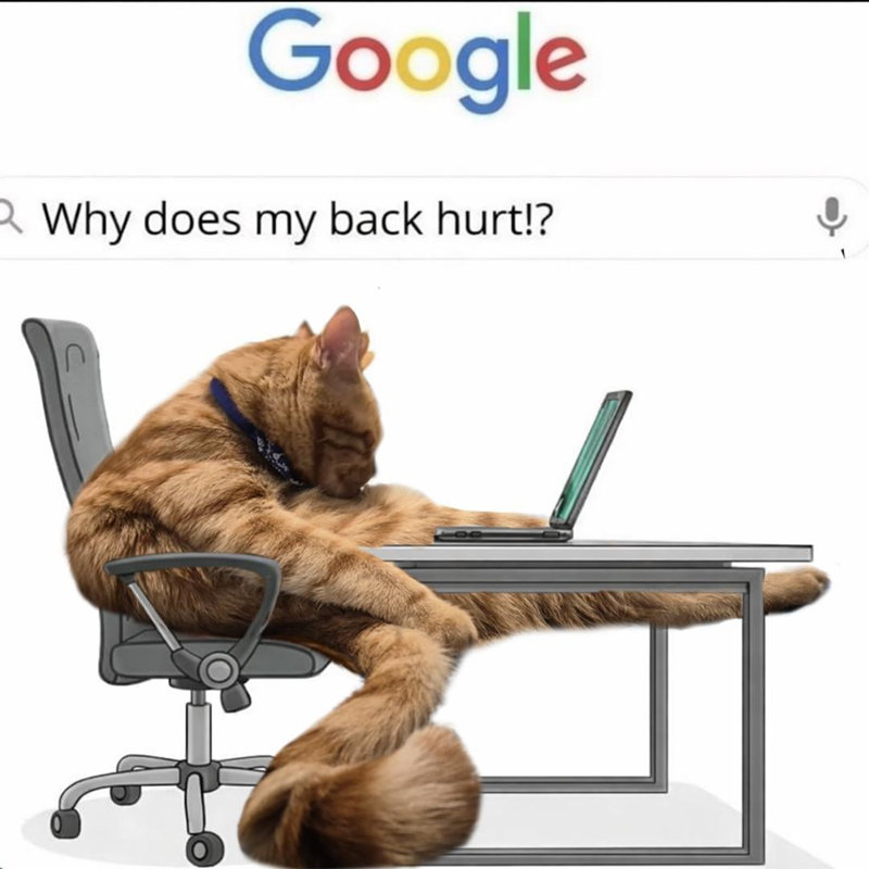Google Why does my back hurt!? 1