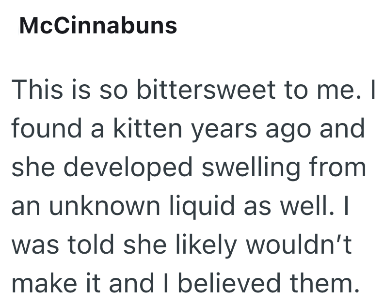 McCinnabuns This is so bittersweet to me. I found a kitten years ago and she developed swelling from an unknown liquid as well. I was told she likely wouldn't make it and I believed them.