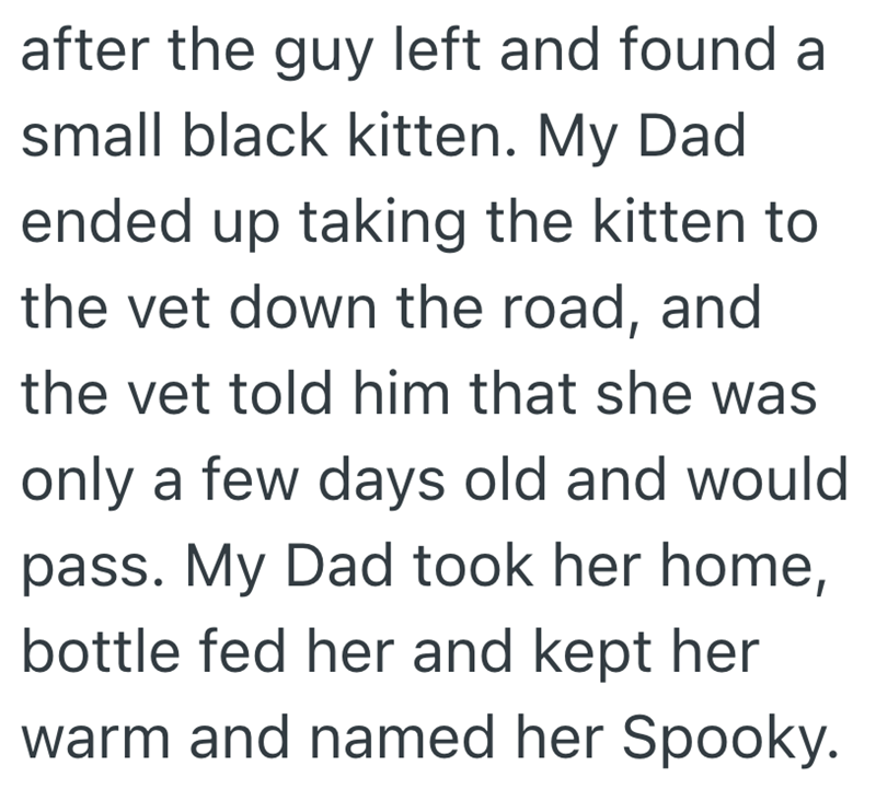 after the guy left and found a small black kitten. My Dad ended up taking the kitten to the vet down the road, and the vet told him that she was only a few days old and would pass. My Dad took her home, bottle fed her and kept her warm and named her Spooky.