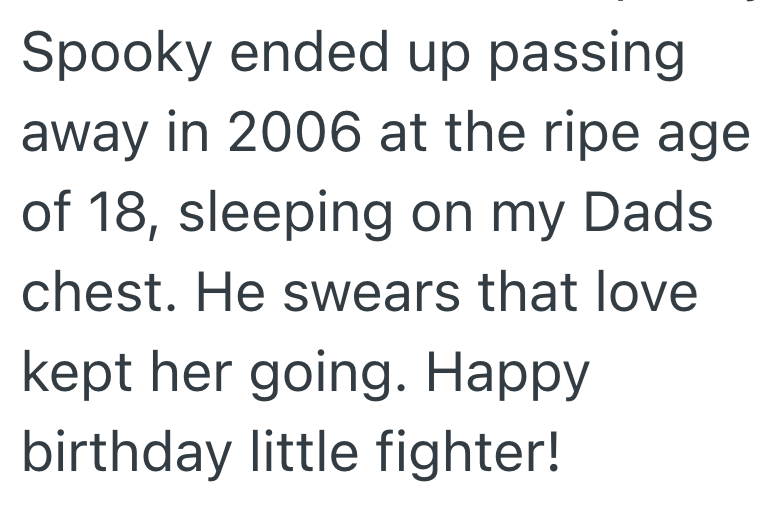 Spooky ended up passing away in 2006 at the ripe age of 18, sleeping on my Dads chest. He swears that love kept her going. Happy birthday little fighter!