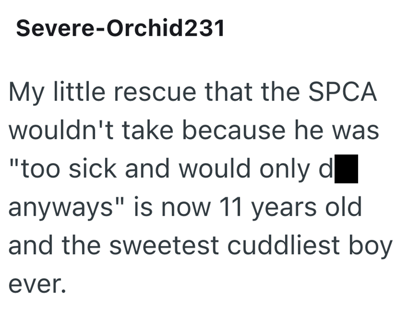 Severe-Orchid231 My little rescue that the SPCA wouldn't take because he was "too sick and would only d anyways" is now 11 years old and the sweetest cuddliest boy ever.