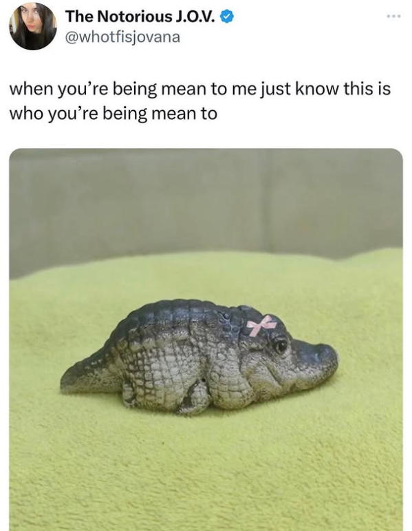 The Notorious J.O.V. @whotfisjovana when you're being mean to me just know this is who you're being mean to