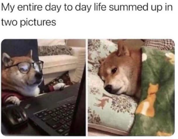 My entire day to day life summed up in two pictures