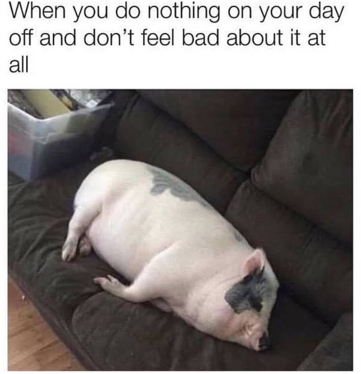 When you do nothing on your day off and don't feel bad about it at all
