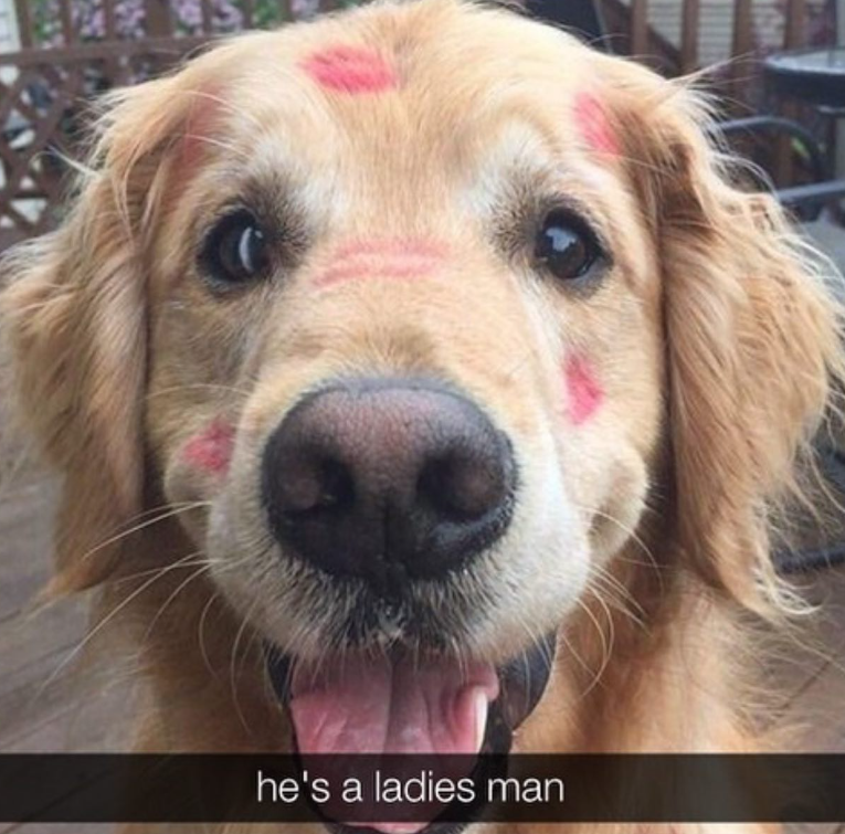 he's a ladies man