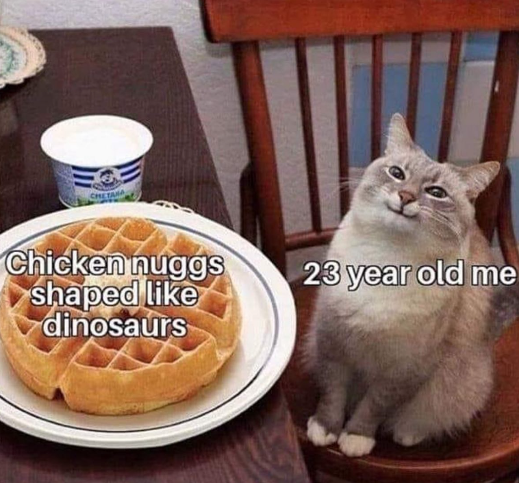 CHETANA Chicken nuggs shaped like dinosaurs 23 year old me