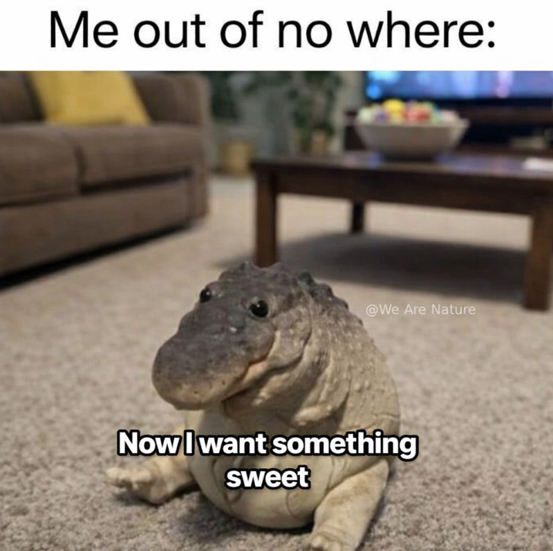 Me out of no where: @We Are Nature Now I want something sweet