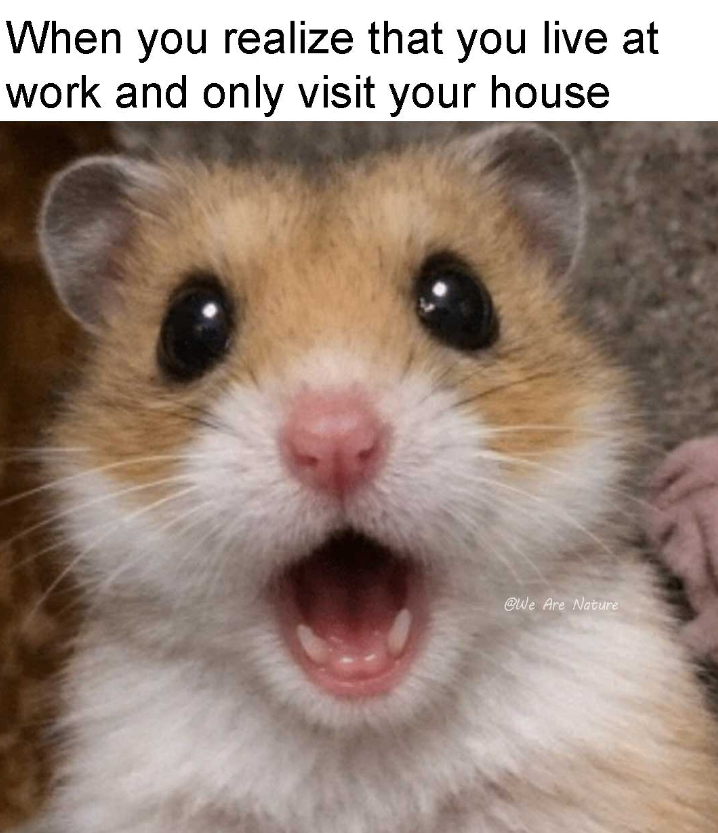 When you realize that you live at work and only visit your house @We Are Nature