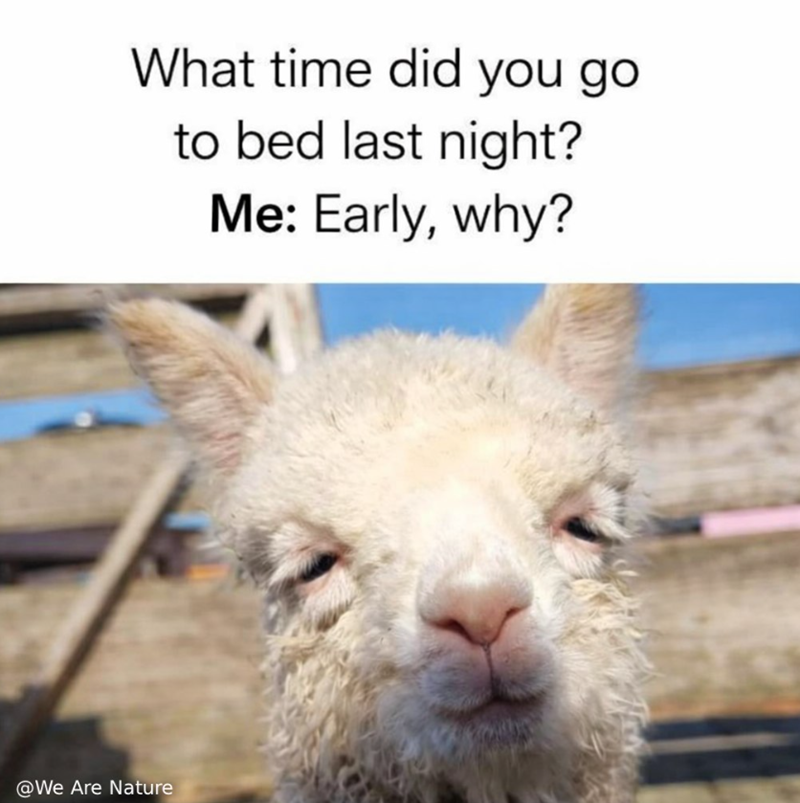 What time did you go to bed last night? Me: Early, why? @We Are Nature