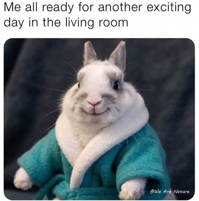 Me all ready for another exciting day in the living room @We Are Nature