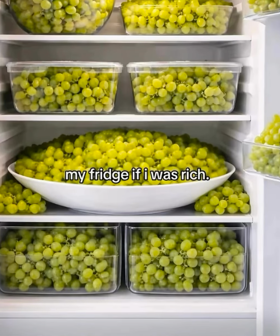 my fridge if i was rich.