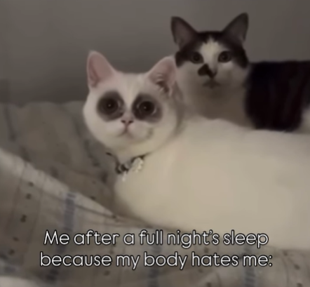 Me after a full night's sleep because my body hates me: