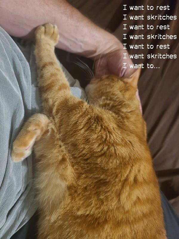 Cheezburger Image 10624615680