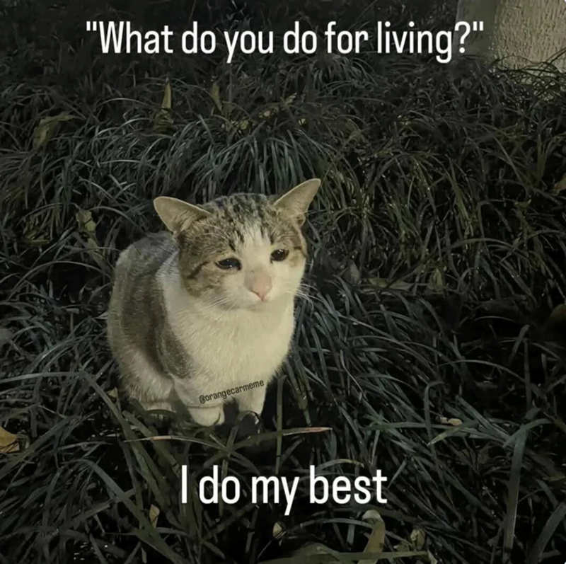 "What do you do for living?" Borangecarmeme I do my best
