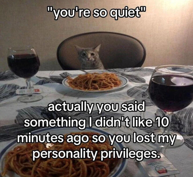 "you're so quiet" actually you said something I didn't like 10 minutes ago so you lost my personality privileges.