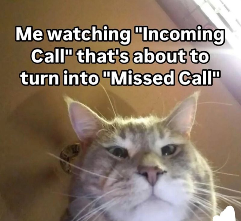 Me watching "Incoming Call" that's about to turn into "Missed Call"