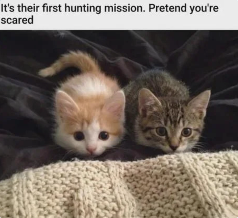 It's their first hunting mission. Pretend you're scared