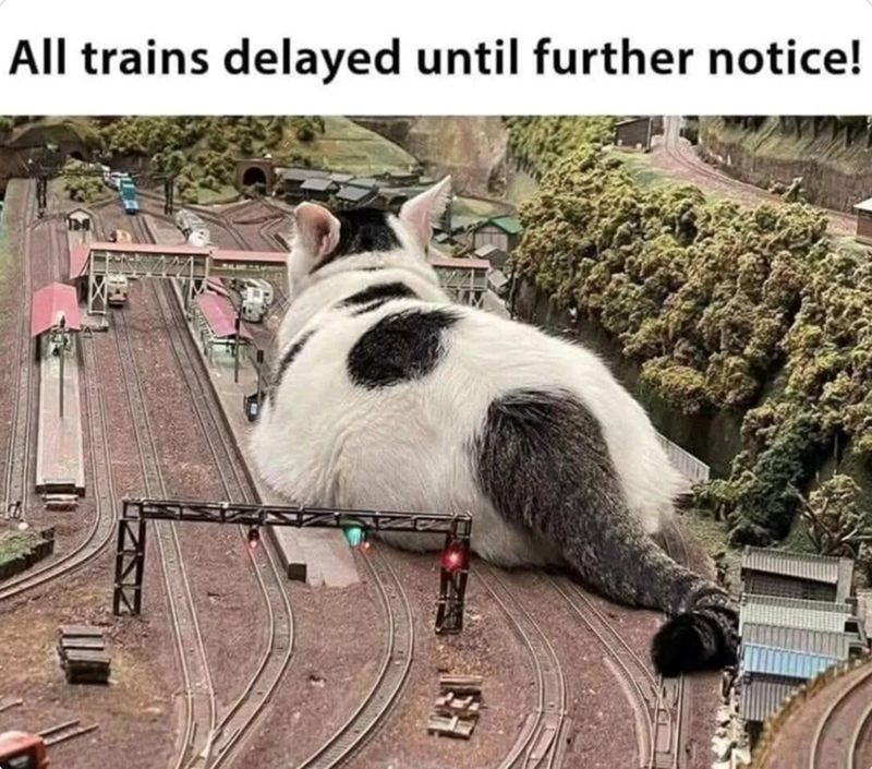 All trains delayed until further notice! 167 3