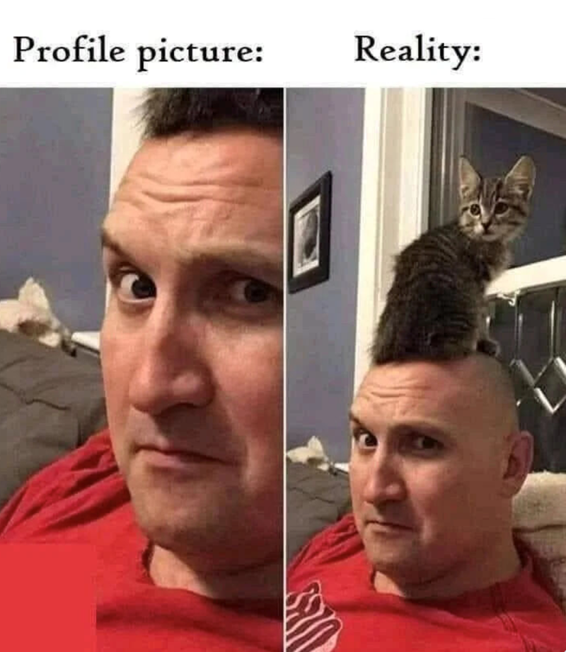 Profile picture: Reality: