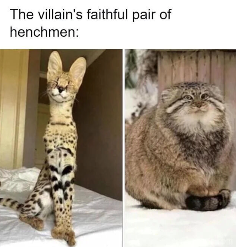 The villain's faithful pair of henchmen: