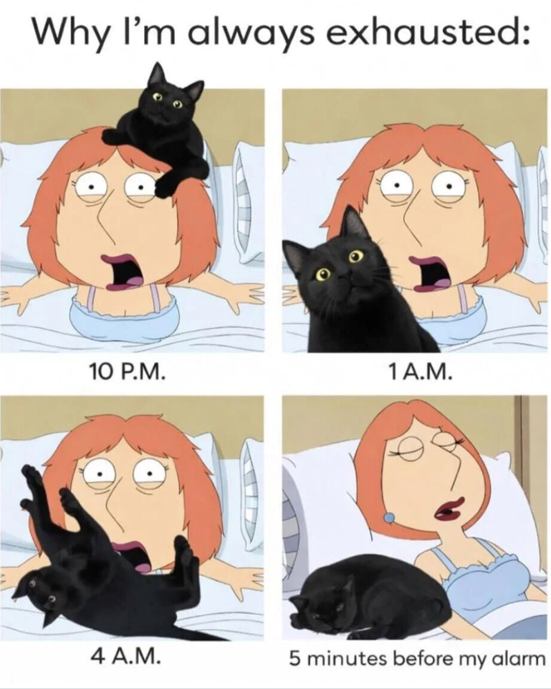 Why I'm always exhausted: 10 P.M. 1 A.M. 4 A.M. 5 minutes before my alarm