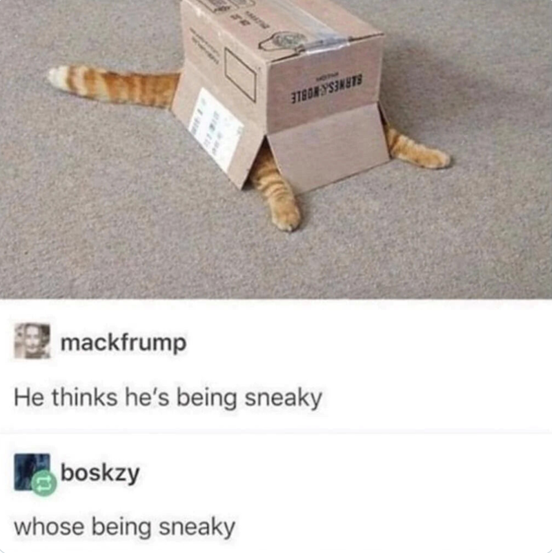 mackfrump He thinks he's being sneaky boskzy whose being sneaky 20