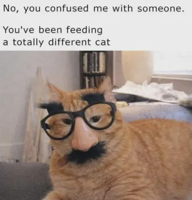 No, you confused me with someone. You've been feeding a totally different cat