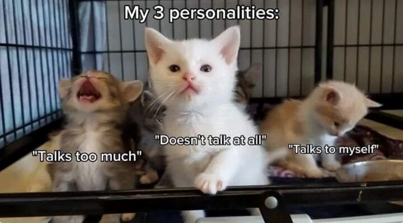 My 3 personalities: "Doesn't talk at all" "Talks to myself" "Talks too much"
