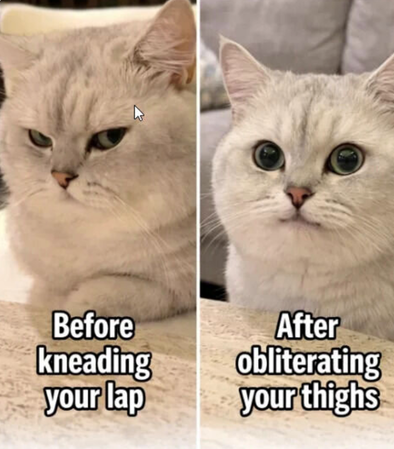 Before kneading After obliterating your lap your thighs