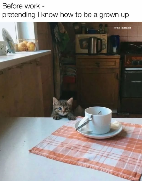 Before work - pretending I know how to be a grown up @the_pizzacat