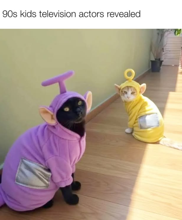 90s kids television actors revealed