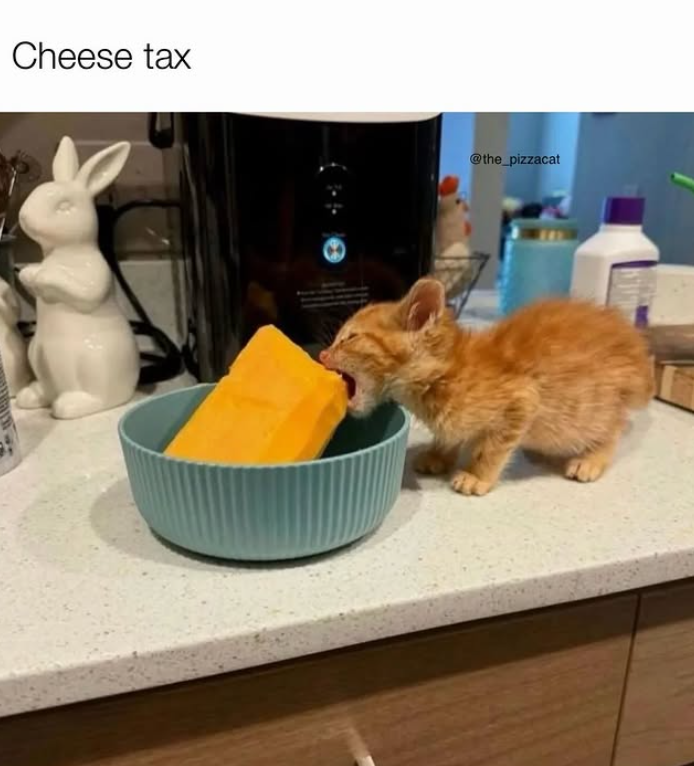 Cheese tax @the_pizzacat