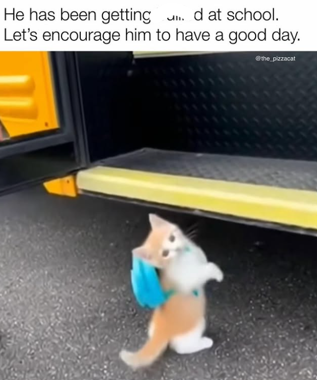 He has been getting d at school. Let's encourage him to have a good day. @the_pizzacat