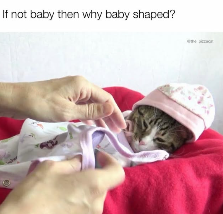 phar If not baby then why baby shaped? @the_pizzacat