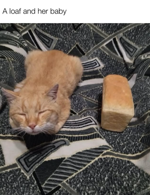 A loaf and her baby