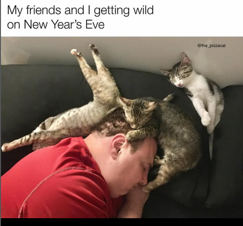 My friends and I getting wild on New Year's Eve @the_pizzacat