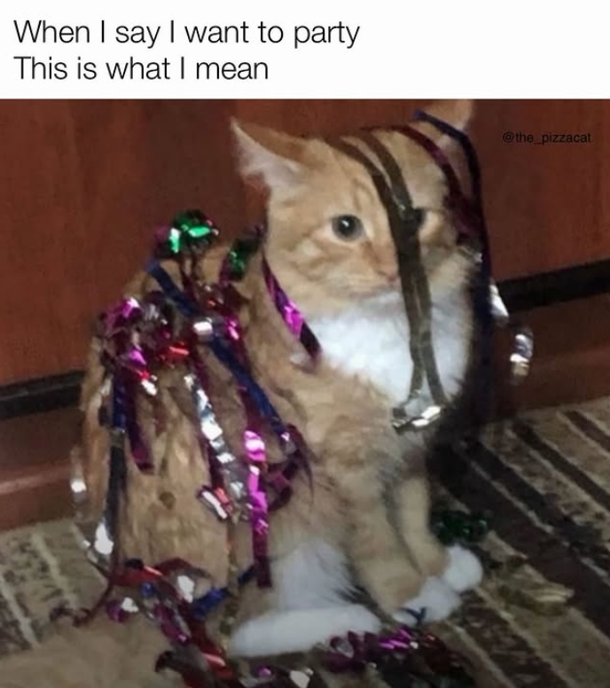 When I say I want to party This is what I mean @the_pizzacat