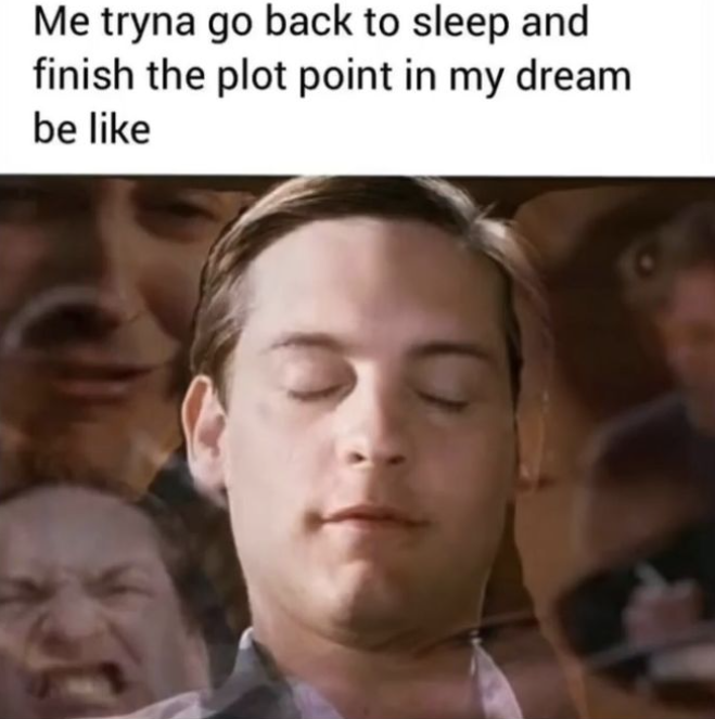 Me tryna go back to sleep and finish the plot point in my dream be like