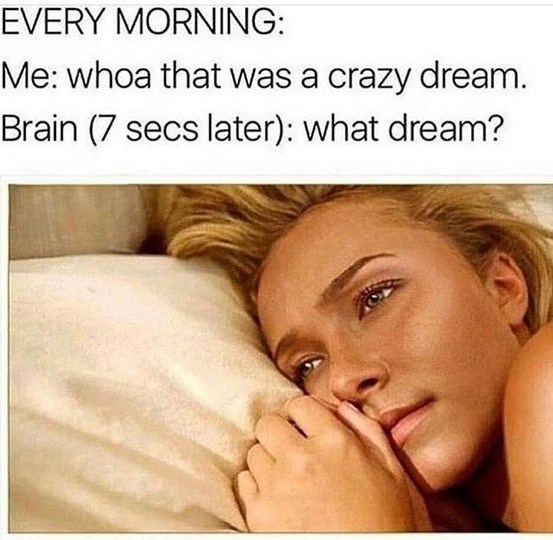 EVERY MORNING: Me: whoa that was a crazy dream. Brain (7 secs later): what dream?