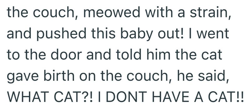 the couch, meowed with a strain, and pushed this baby out! I went to the door and told him the cat gave birth on the couch, he said, WHAT CAT?! I DONT HAVE A CAT!!