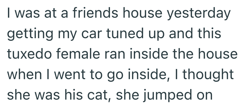 I was at a friends house yesterday getting my car tuned up and this tuxedo female ran inside the house when I went to go inside, I thought she was his cat, she jumped on