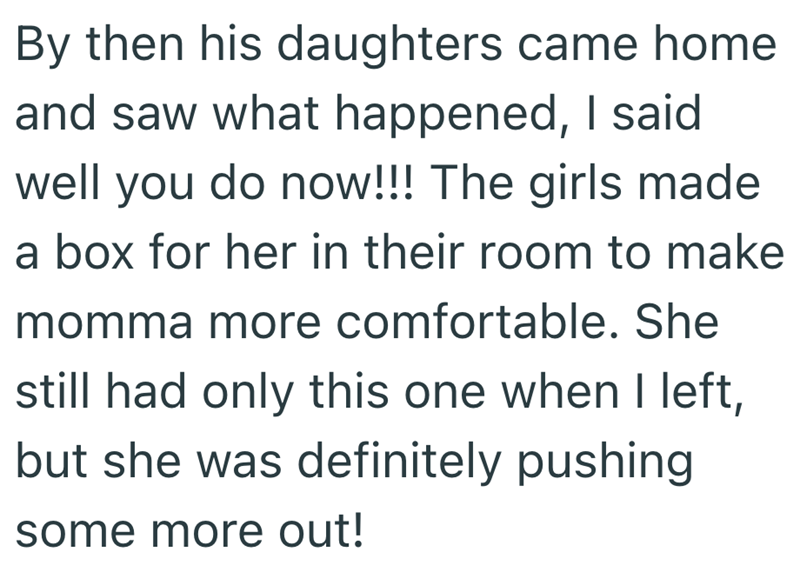 By then his daughters came home and saw what happened, I said well you do now!!! The girls made a box for her in their room to make momma more comfortable. She still had only this one when I left, but she was definitely pushing some more out!