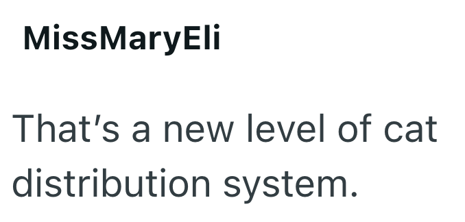 MissMaryEli That's a new level of cat distribution system.