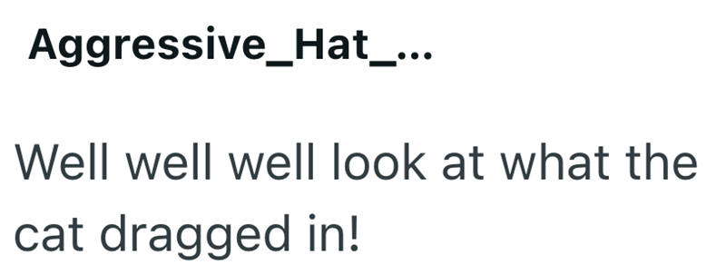 Aggressive_Hat_... Well well well look at what the cat dragged in!