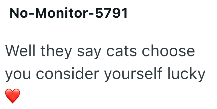 No-Monitor-5791 Well they say cats choose you consider yourself lucky