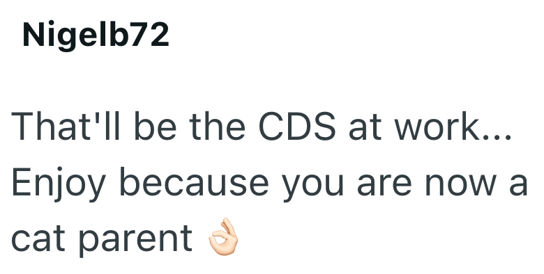 Nigelb72 That'll be the CDS at work... Enjoy because you are now a cat parent