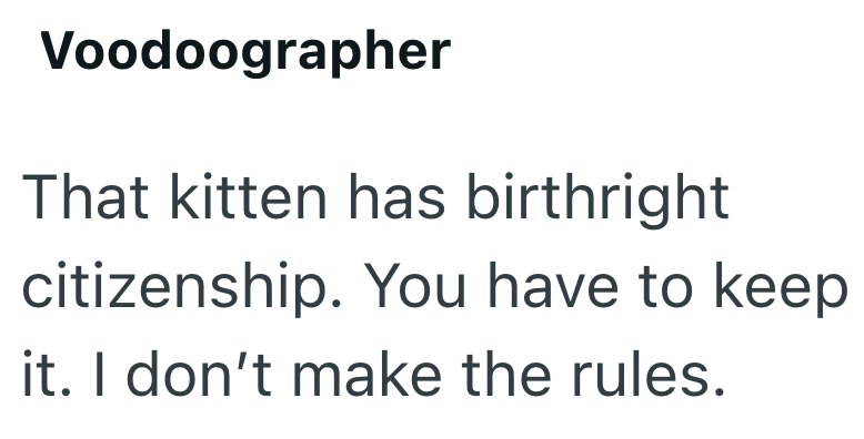 Voodoographer That kitten has birthright citizenship. You have to keep it. I don't make the rules.