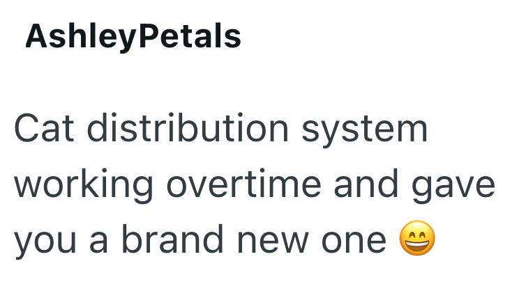 AshleyPetals Cat distribution system working overtime and gave you a brand new one ଽ)
