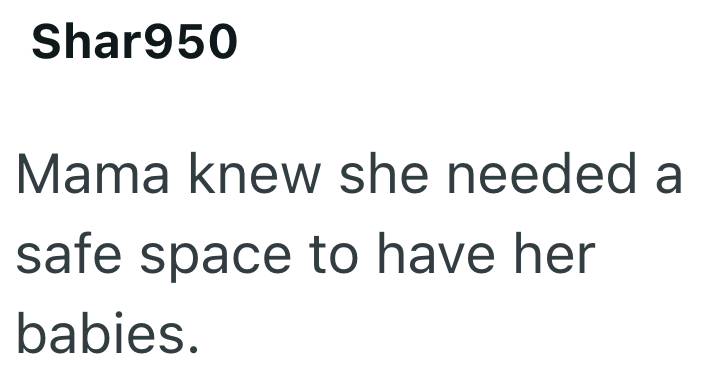 Shar950 Mama knew she needed a safe space to have her babies.