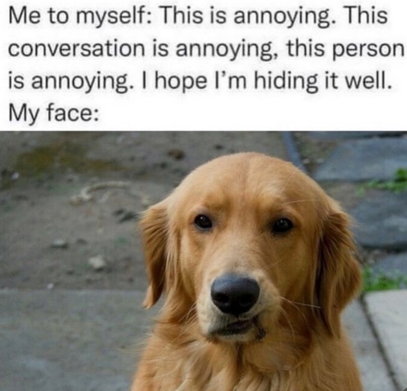 Me to myself: This is annoying. This conversation is annoying, this person is annoying. I hope I'm hiding it well. My face: